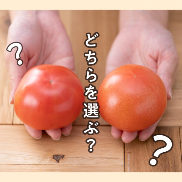 美味しいトマトの見分け方は？